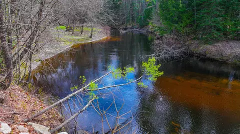 View/Area - 26 Dragon Back Rd, Naples, ME 04055 photo 3 of 6