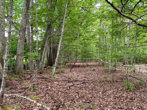 34- Acres Deering Dr, Gorham, ME 04038 photo 2