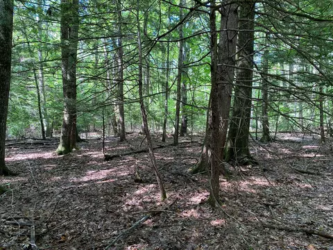 34- Acres Deering Dr, Gorham, ME 04038 photo 9