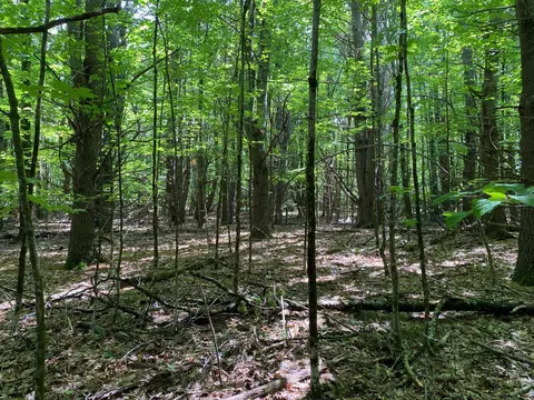 34- Acres Deering Dr, Gorham, ME 04038 photo 6