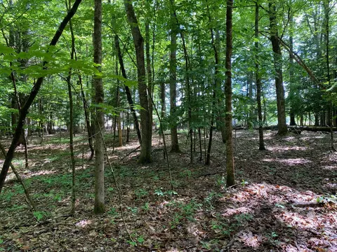 34- Acres Deering Dr, Gorham, ME 04038 photo 8
