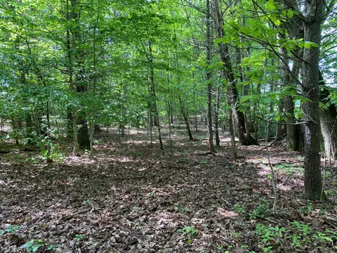 34- Acres Deering Dr, Gorham, ME 04038 photo 4