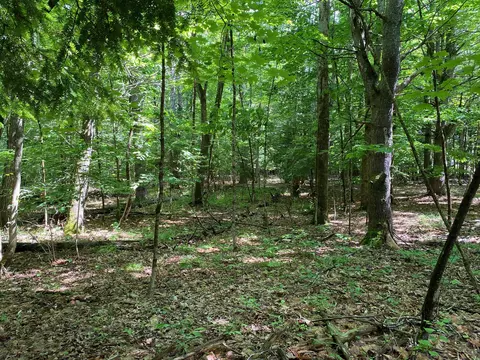 34- Acres Deering Dr, Gorham, ME 04038 photo 7