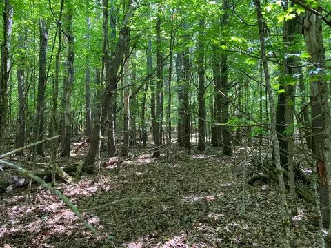 34- Acres Deering Dr, Gorham, ME 04038 photo 5