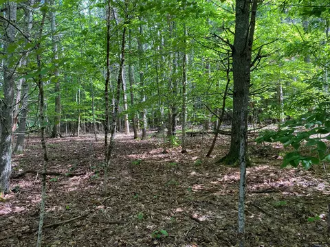 34- Acres Deering Dr, Gorham, ME 04038 photo 3