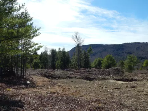 lot11 Second St, Bethel, ME 04217