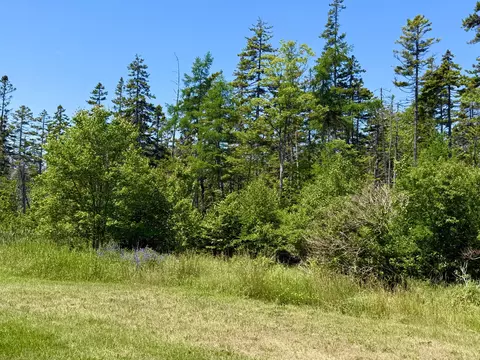 Exterior - 29 Hidden Dr, Vinalhaven, ME 04863 photo 12 of 16