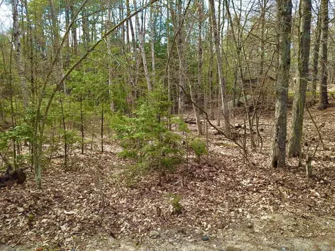 6 Chickadee Ln, Sebago, ME 04029 photo 2