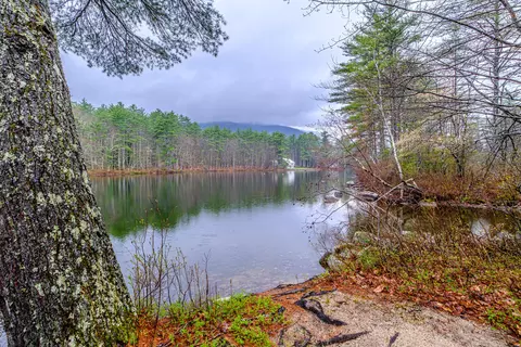 View/Area - 95 Schrader Dr, Denmark, ME 04022 photo 1 of 1