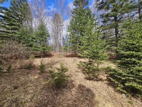 lot9 Amber Rd, Rangeley, ME 04970 photo 2