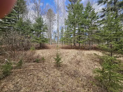 lot9 Amber Rd, Rangeley, ME 04970