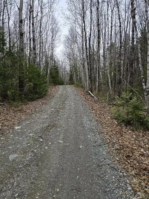 lot18 5 Camp Rd, Mount Chase, ME 04765