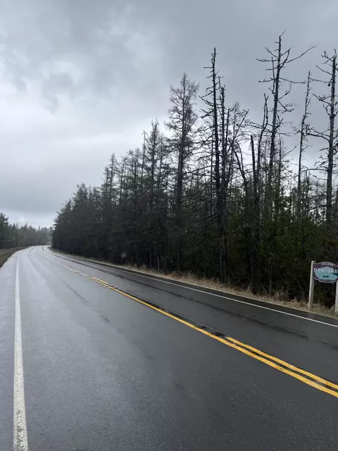 5 Us 1, Danforth, ME 04424