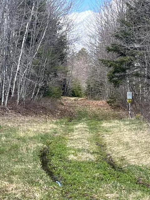M13l30 Old Calais Road, Danforth, ME 04424 photo 3
