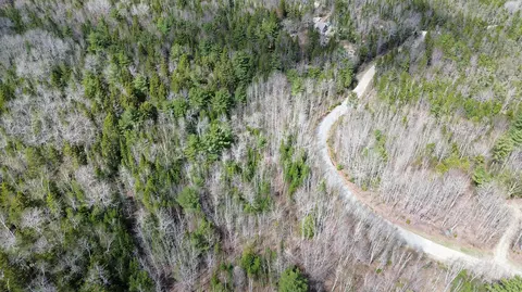 lot20 20 Bailey Mountain Rd, Franklin, ME 04634 photo 5