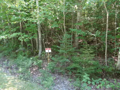 lot1 Bailey Mountain Rd, Franklin, ME 04634