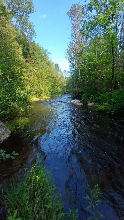 0 Cedar Valley Dr, Hersey, ME 04747