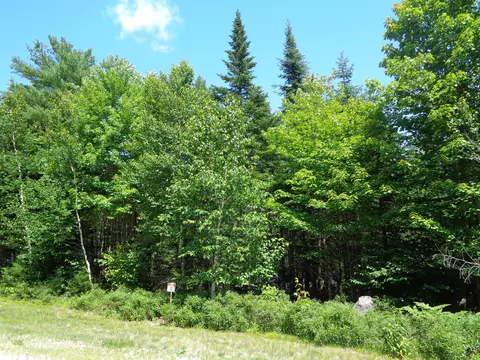 lot11 Bailey Mountain Rd, Franklin, ME 04634