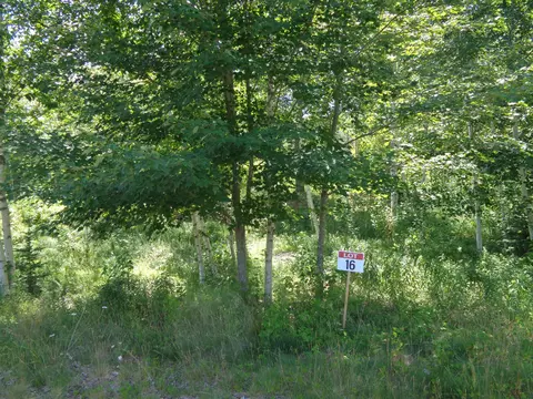 lot16 Bailey Mountain Rd, Franklin, ME 04634