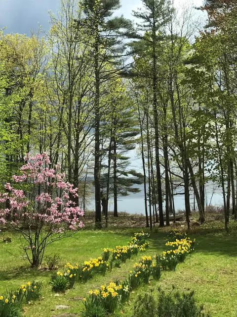 217 Leadbetter Rd, Wayne, ME 04284