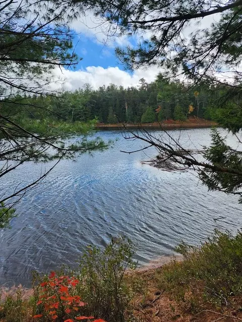 Off Northfield Road, Marshfield, ME 04654 photo 24
