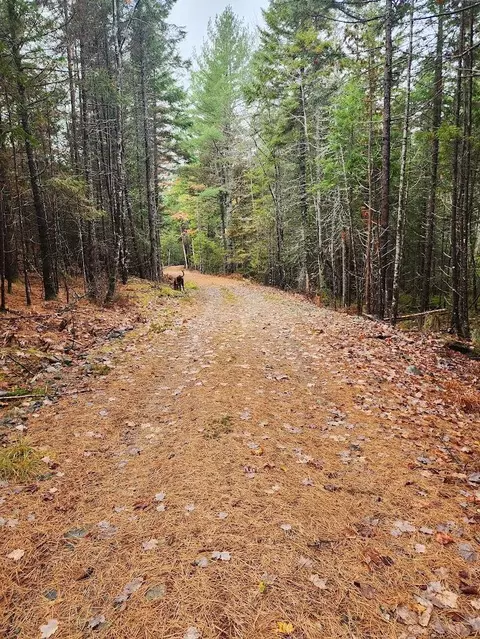 Off Northfield Road, Marshfield, ME 04654 photo 10