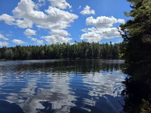 Off Northfield Road, Marshfield, ME 04654 photo 6