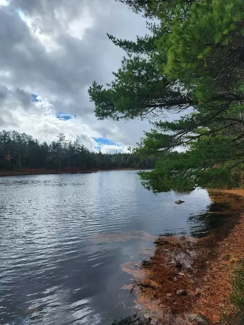 Off Northfield Road, Marshfield, ME 04654 photo 25