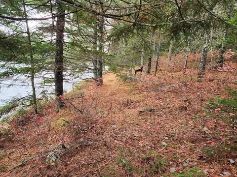 Off Northfield Road, Marshfield, ME 04654 photo 23