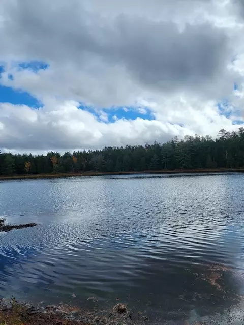 Off Northfield Road, Marshfield, ME 04654 photo 19