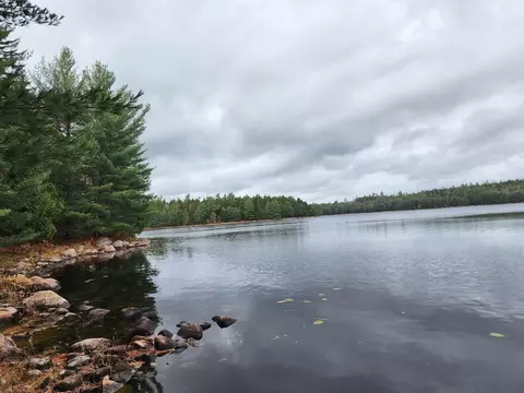 Off Northfield Road, Marshfield, ME 04654 photo 11