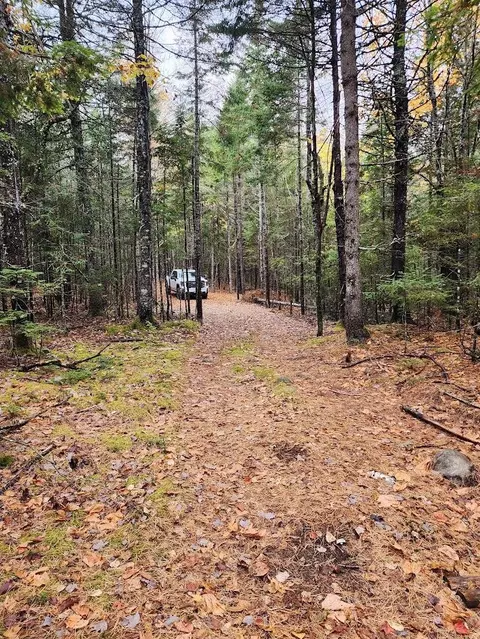 Off Northfield Road, Marshfield, ME 04654 photo 16