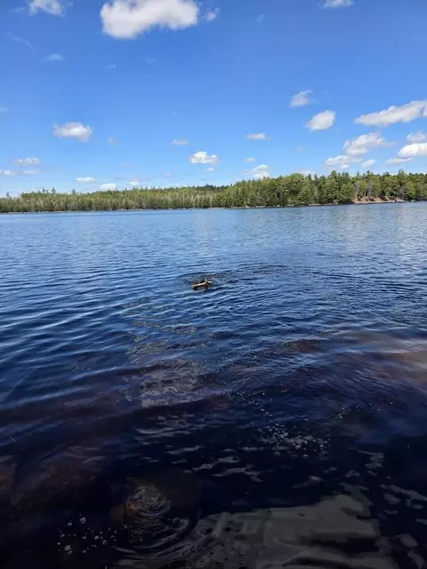 Off Northfield Road, Marshfield, ME 04654