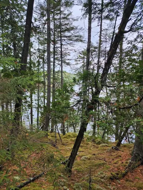 Off Northfield Road, Marshfield, ME 04654 photo 31