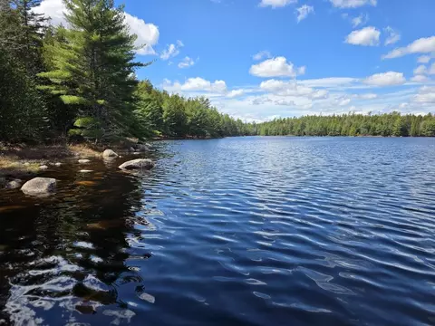 Off Northfield Road, Marshfield, ME 04654 photo 4