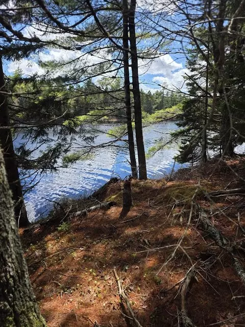 Off Northfield Road, Marshfield, ME 04654 photo 36
