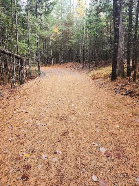 Off Northfield Road, Marshfield, ME 04654 photo 13