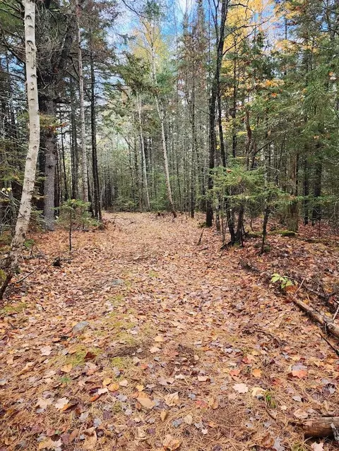 Off Northfield Road, Marshfield, ME 04654 photo 17