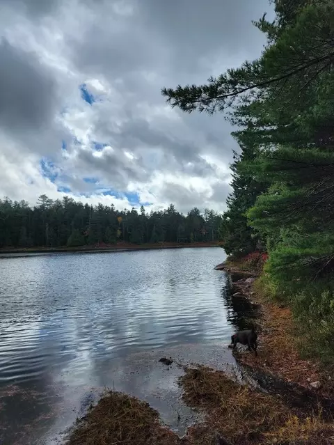 Off Northfield Road, Marshfield, ME 04654 photo 18