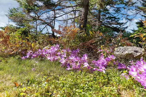 Other - 012 Long Is, Georgetown, ME 04548 photo 18 of 28