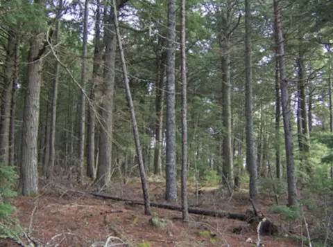 lot30 A Pikes Hl, Norway, ME 04268