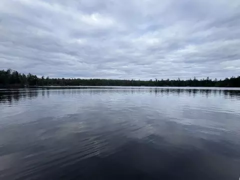 279 Carry Ridge Rd, Northfield, ME 04654