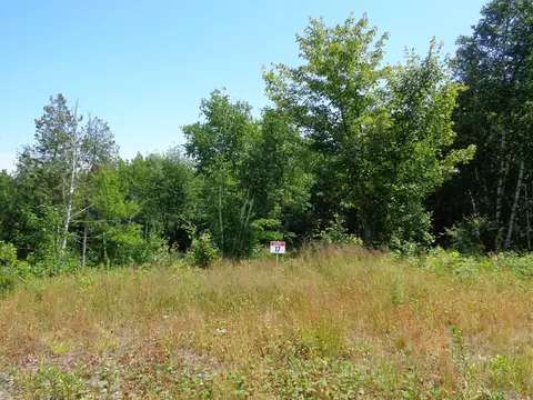 lot17 Bailey Mountain Rd, Franklin, ME 04634