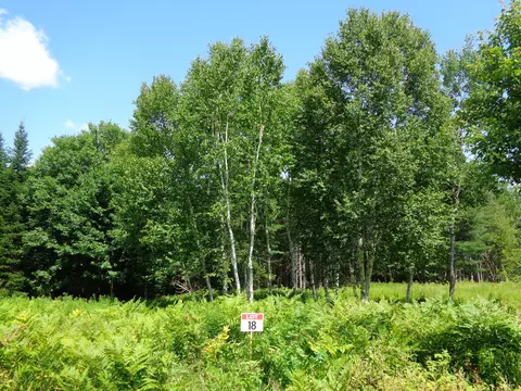 lot18 Bailey Mountain Rd, Franklin, ME 04634