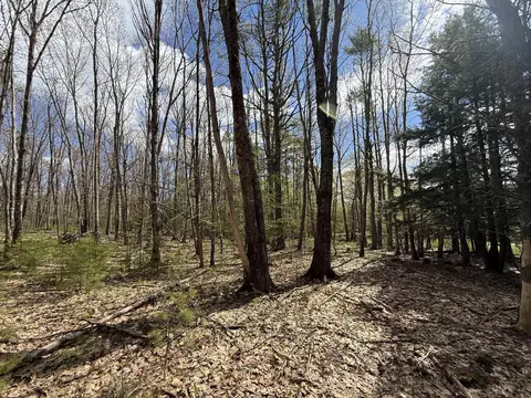 lot Apt 8e01 Lord Rd, Buxton, ME 04093