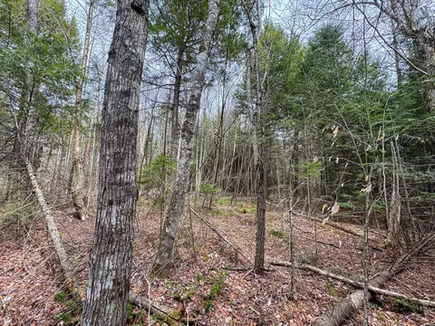 lot25 Woodland Ridge Rd, Danforth, ME 04424 photo 11