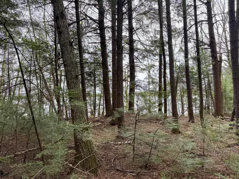 lot25 Woodland Ridge Rd, Danforth, ME 04424 photo 15