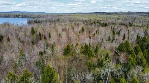 lot25 Woodland Ridge Rd, Danforth, ME 04424 photo 2