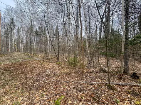 lot25 Woodland Ridge Rd, Danforth, ME 04424 photo 8