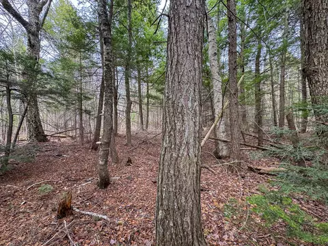lot25 Woodland Ridge Rd, Danforth, ME 04424 photo 14